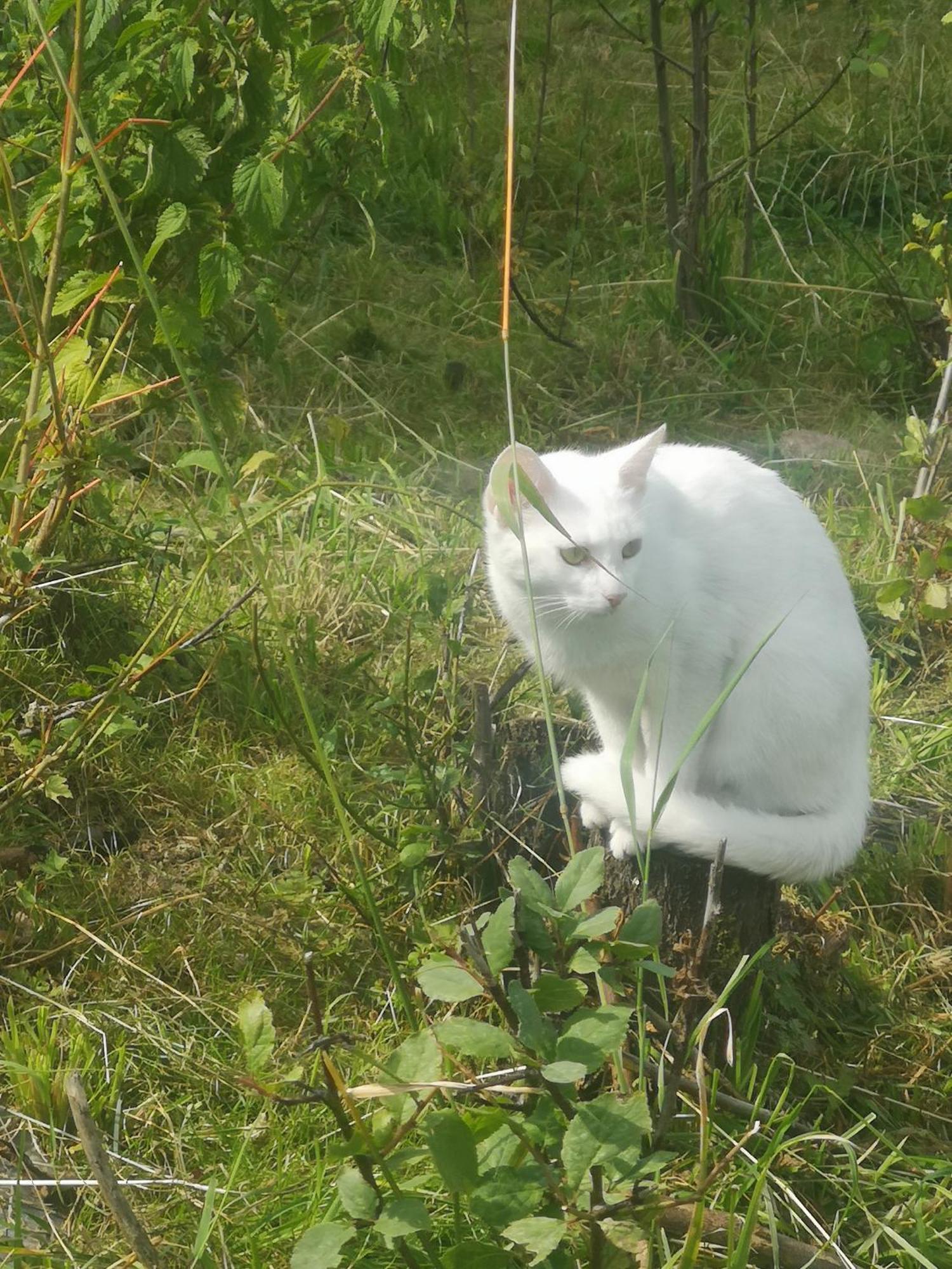 Agroturystyka U Kozdryka Leśna Dış mekan fotoğraf