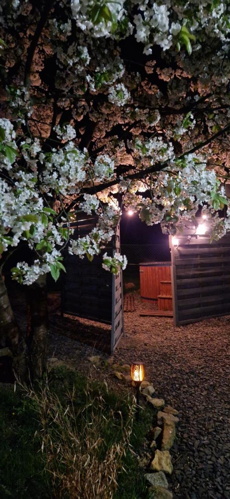 Agroturystyka U Kozdryka Leśna Dış mekan fotoğraf